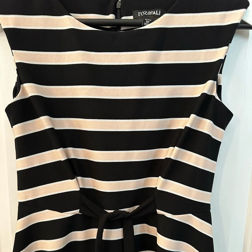 Roz & Ali Pink and Black Striped Dress Size 6P - Picture 3 of 8